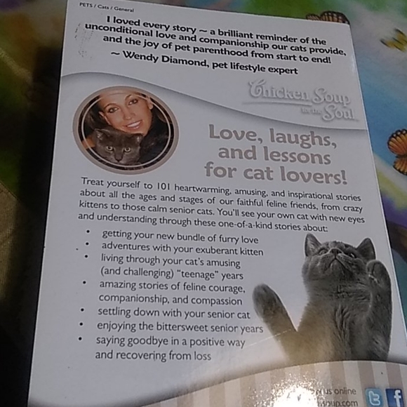 Chicken Soup for the Soul - Picture 4 of 4